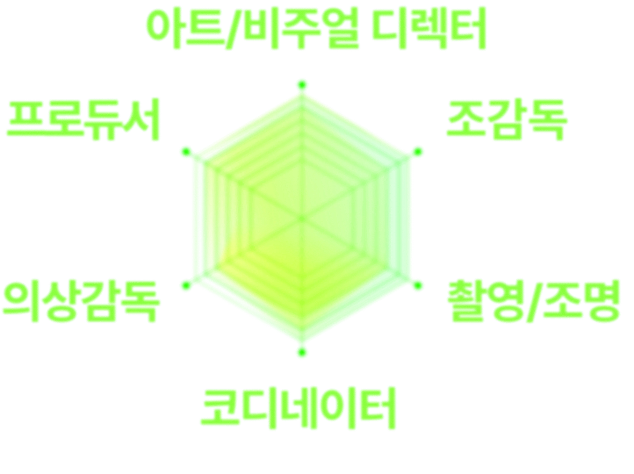 정주 감독이 경험한 포지션 육각형 도표 — 아트/비주얼 디렉터, 조감독, 촬영/조명, 코디네이터, 의상감독, 프로듀서